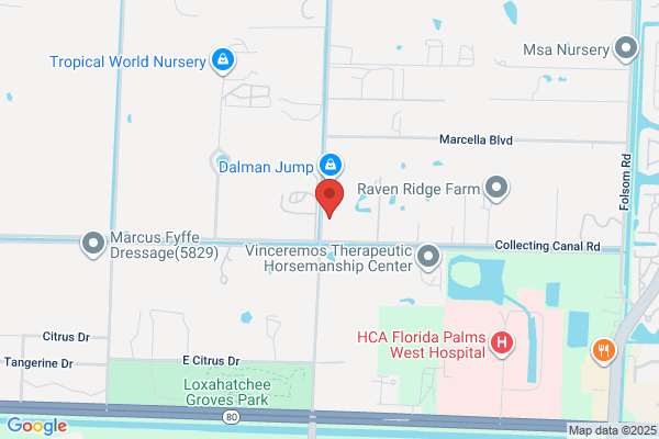 Hammerhead Roofing Of South Florida, Inc.
