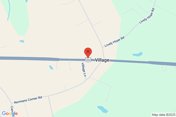 Village Seed Service