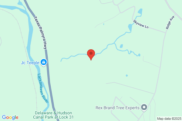 Palmyra Township