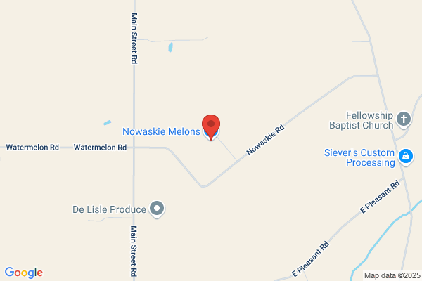Nowaskie Melons