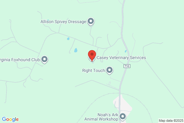 Casey Equine Services