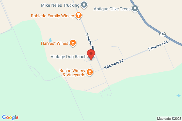 Aberglen Pet Resort