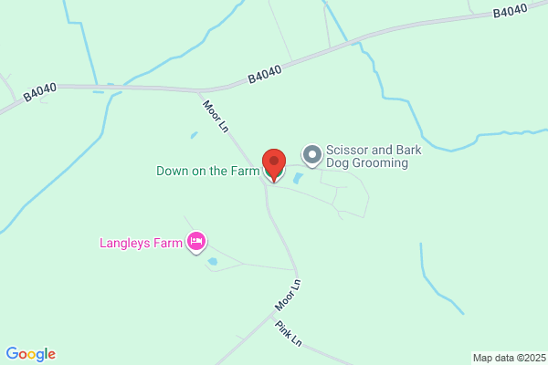 Down On the Farm Sports