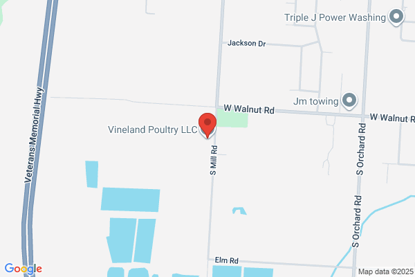 Vineland Kosher Poultry Inc