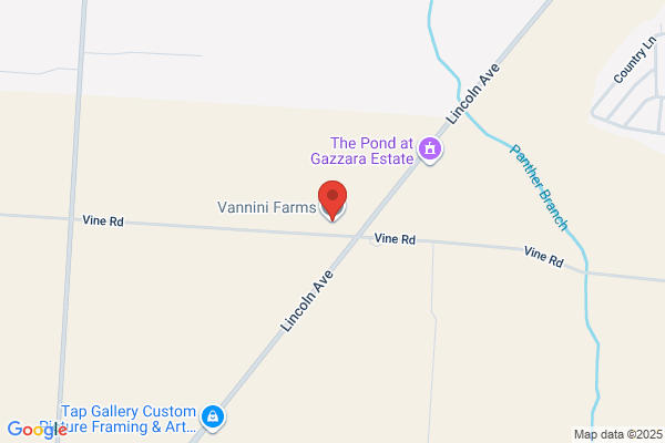 Vannini Farms Inc