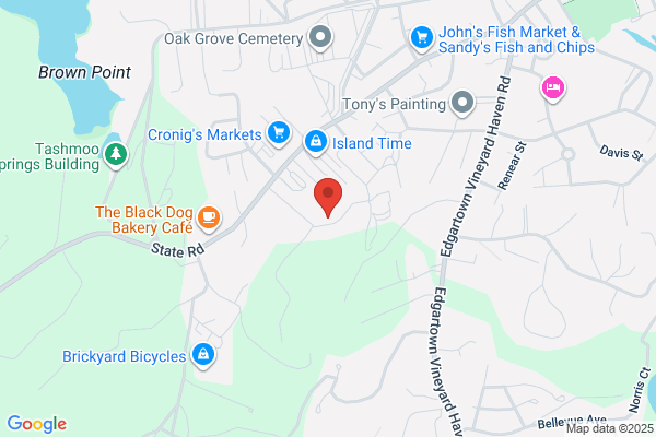 Tisbury Town of, Health Department