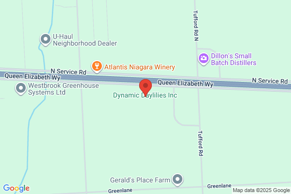 Daylily Farms Inc
