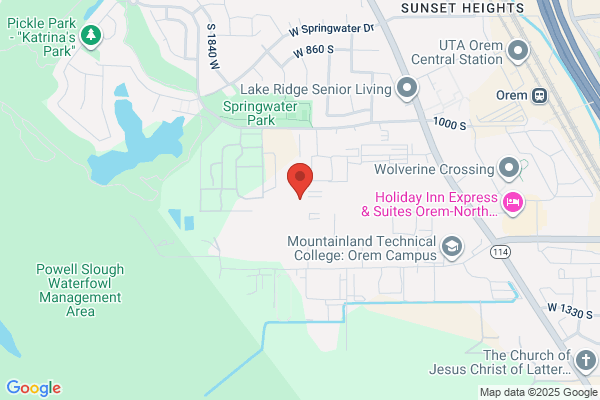 Str Tree Service Inc