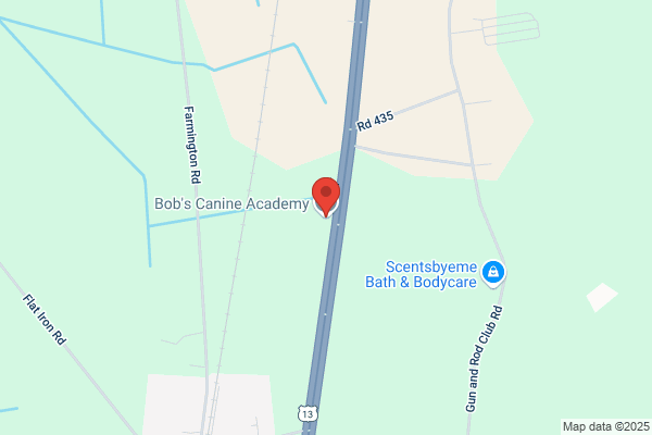 Bob's Canine Academy