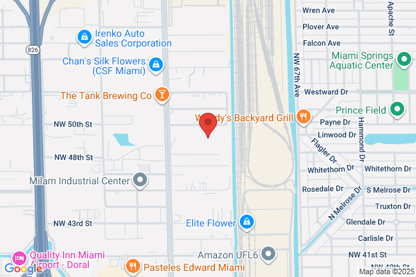 Global Dental Inc