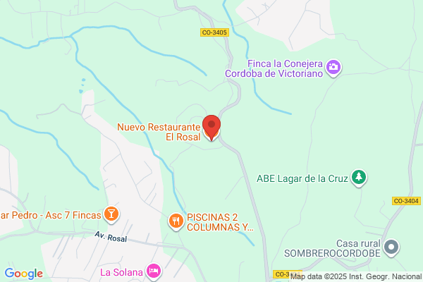 El Rosal Bar & Grill