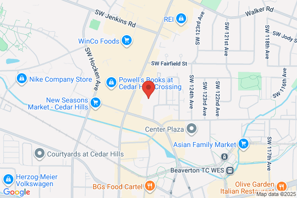 All Automotive Services