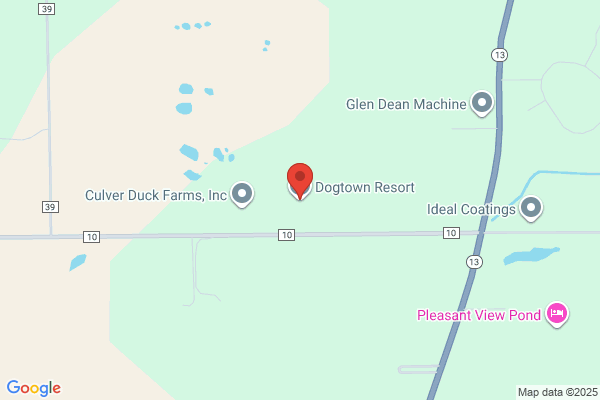 Dogtown Resort