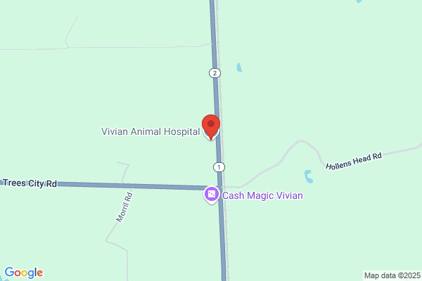 Vivian Animal Hospital