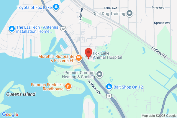 Fox Lake Animal Hospital