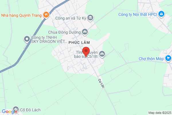 Hong Viet Nguyen, OD