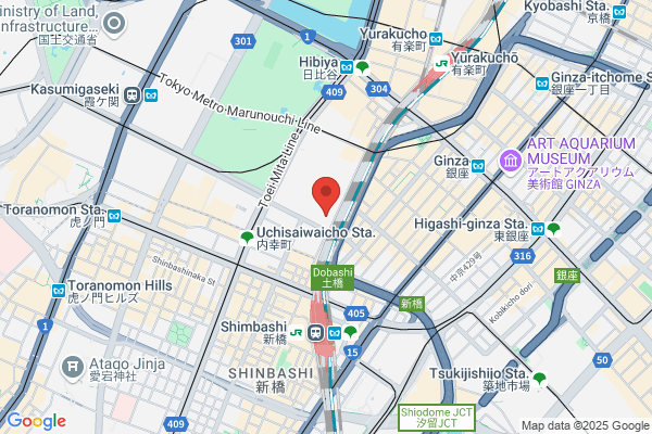 Tokyo Electric Power Co