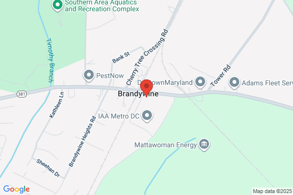 Brandywine Partners Llc