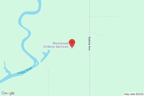 Embryo Services Inc