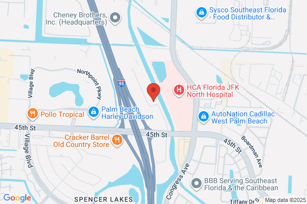 The General Ledger of the Palm Beaches Inc