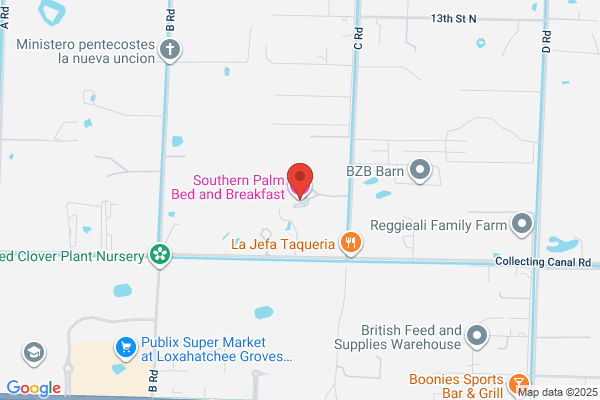 Southern Palm Bed & Breakfast
