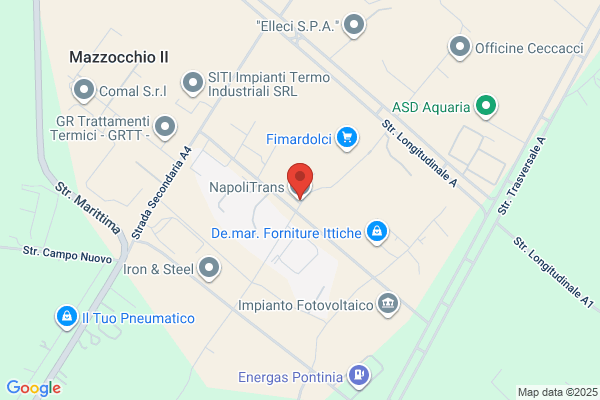Napoles Trucking Inc
