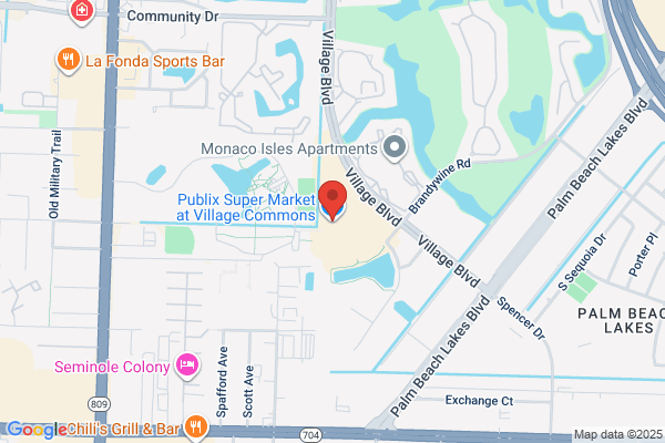 Publix Super Market at Village Commons