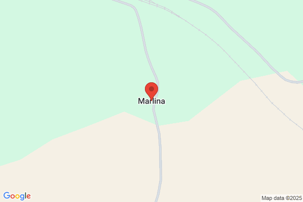 Marlina Petro