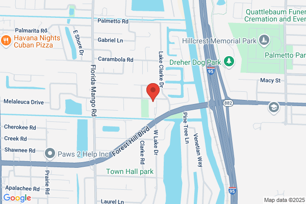 Madison Security Group