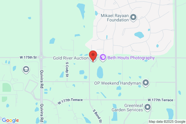 Gold Auction