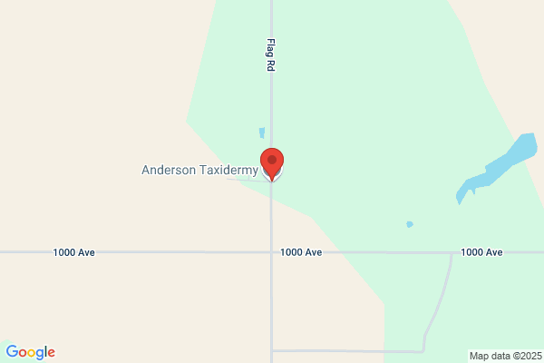 Andersen Taxidermy