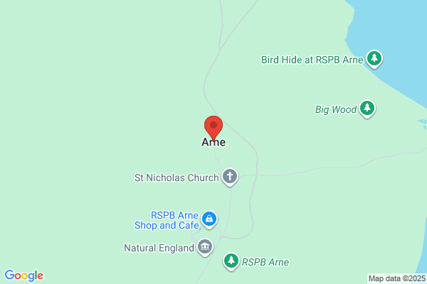 Arne, Damon Dds