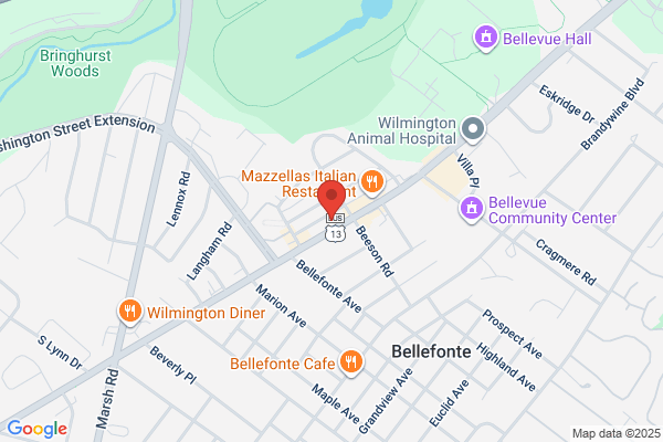 Brandywine Physical Therapy Services Inc