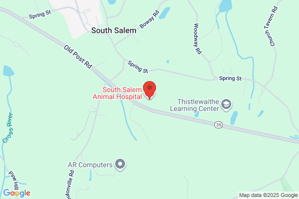 South Salem Animal Hospital