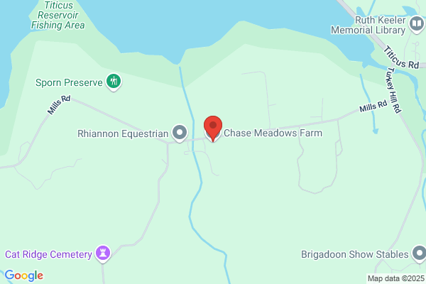 Chase Meadows Farm Llc