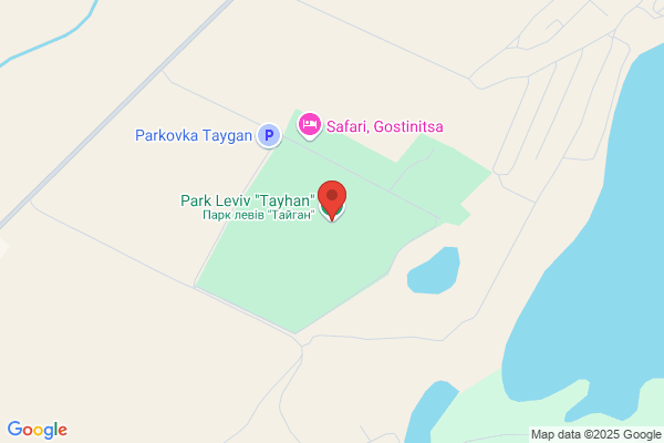 Lion's Park
