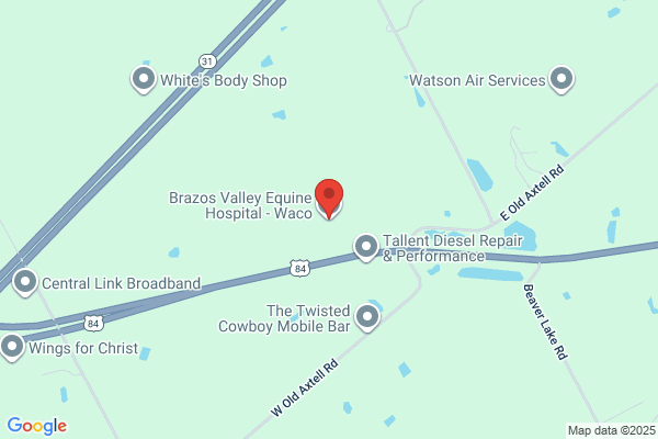 Heart of Texas Equine Clinic