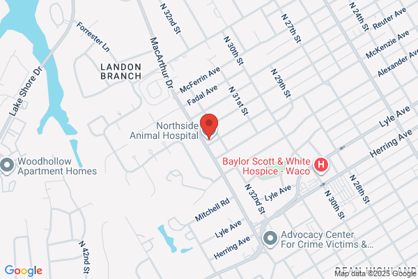 Northside Animal Hospital