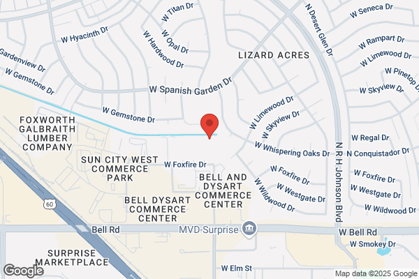Arizona Mirage Llc