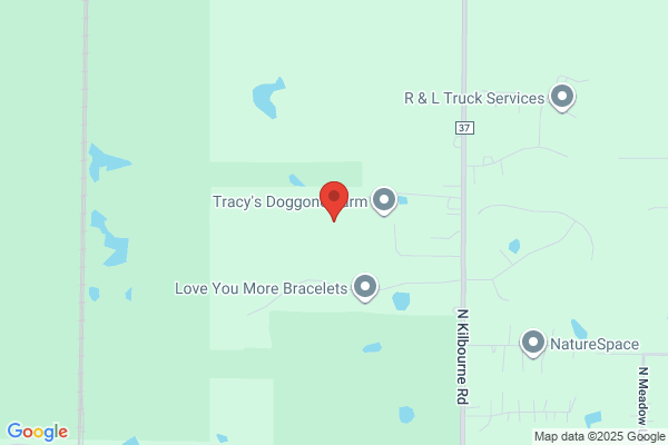Taylors Wood Shavings Co