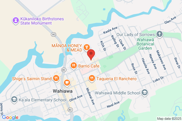 Pioneer Ace Hardware