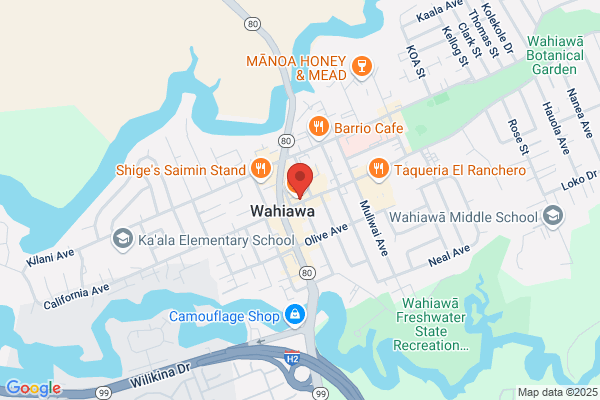 Aloha Pawn