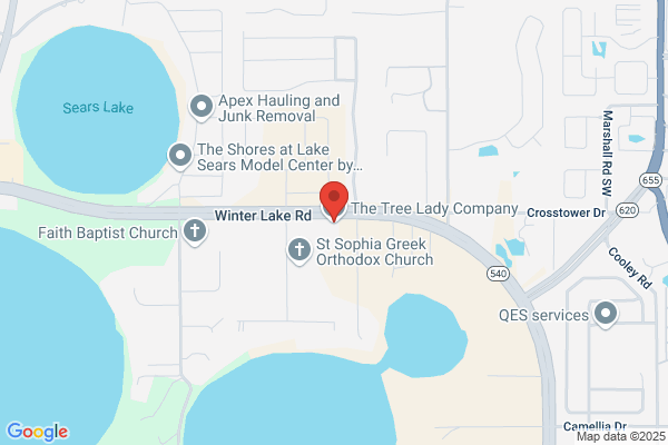 The Tree Lady Company