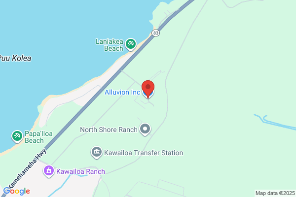Alluvion Inc