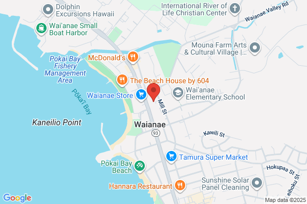 Hawai'i Family Services Inc