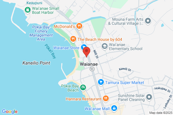 NAPA Auto Parts - Hanabusa's Auto Parts