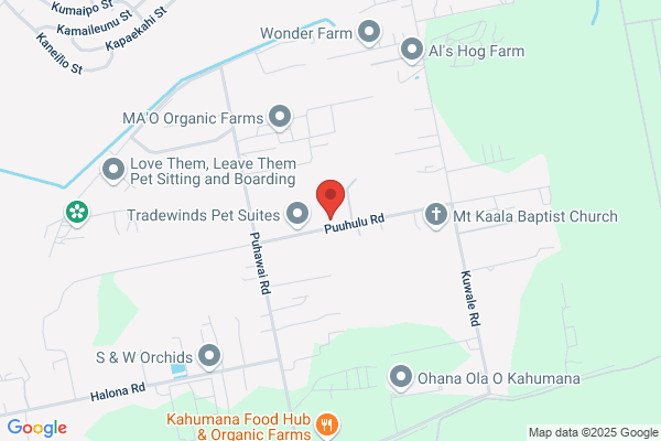 All Paradise Tree Service