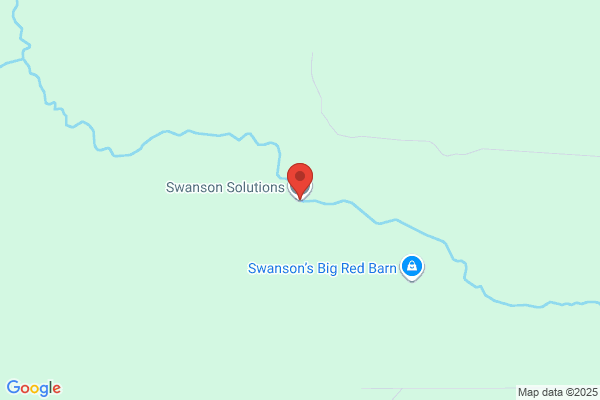 Stone Swanson Enterprises