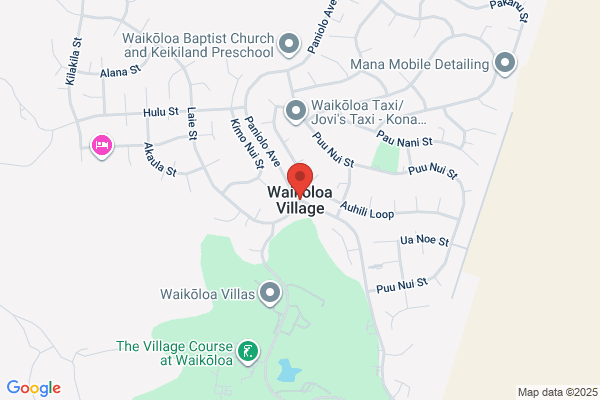 Waikoloa Town Travel