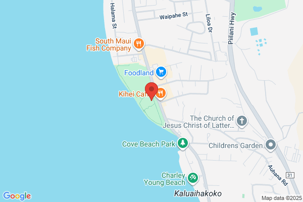 Aloha Surf School